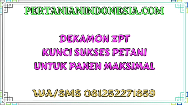 Dekamon ZPT Kunci Sukses Petani Untuk Panen Maksimal